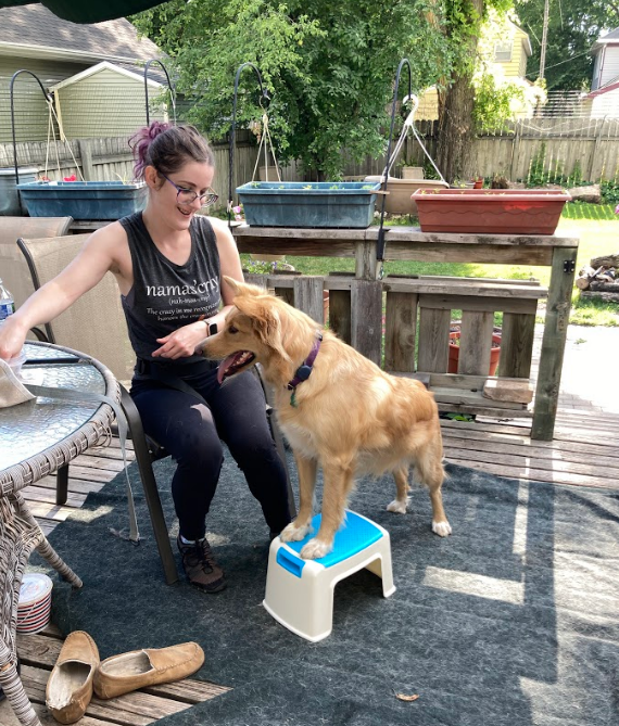 Genel, a young woman person, is seated and smiling at a dog. Her arm is outstretched while the dog, a cream border collie mix, stands on a stool to look at the treat.